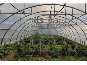 Oferta, National, Solar profesional tunel (latime 6m sau 8m)