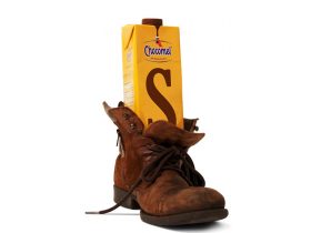 Oferta, Oradea, Lapte cu ciocolata import Olanda Total Blue