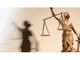 Oferta, National, Avocat civil/penal, experienta, 0744271251
