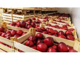 Oferta, National, Depozite mere germania angajare2400e net