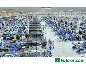 Oferta, National, Fabrica vinuri germ2400