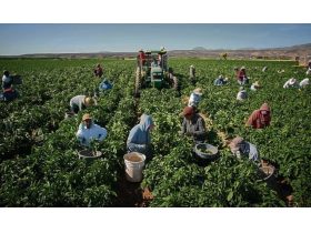 Oferta, National, Agricultura aus 2000e net personal neto