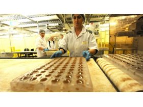 Oferta, National, Depozit ciuperci germ2400