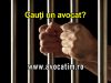 Avocat Timisoara  traducatori, mediatori, notari, executori, juristi