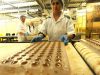 Fabrica conserve germania2400
