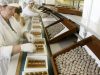 Fabrica cafea germania2400neto