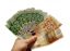 Oferta, National, Finantare persoanelor serioase