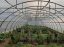 Oferta, National, Solar profesional tunel (latime 6m sau 8m)